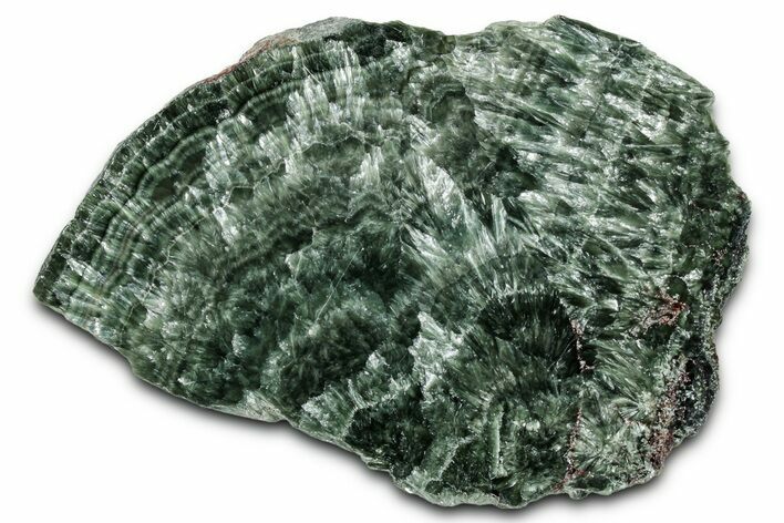 Polished Seraphinite Slab - Korshunovkiy Mine, Siberia #354246